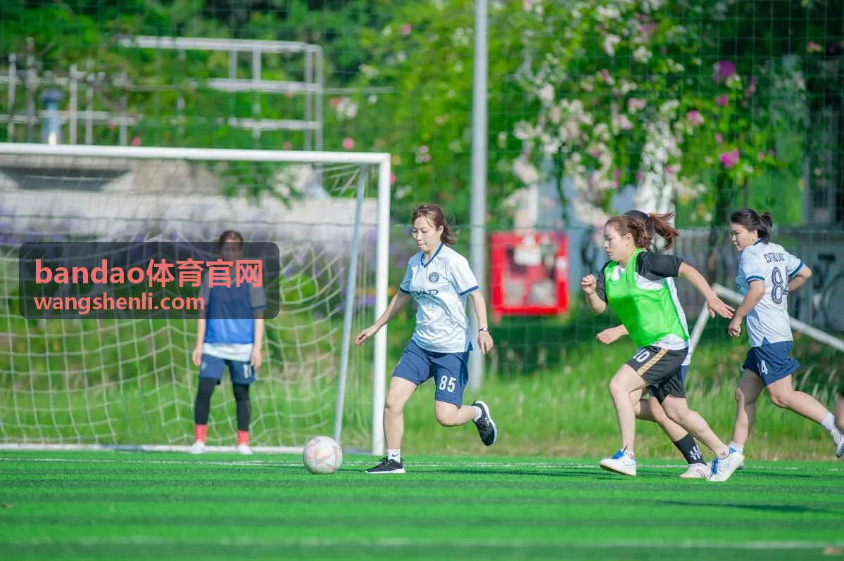 bandao体育热门赛事视频封面